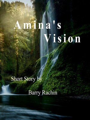 cover image of Amina's Vision